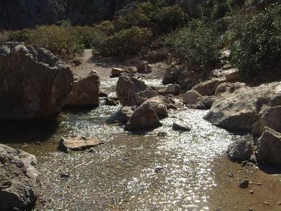 DSCF0183.JPG